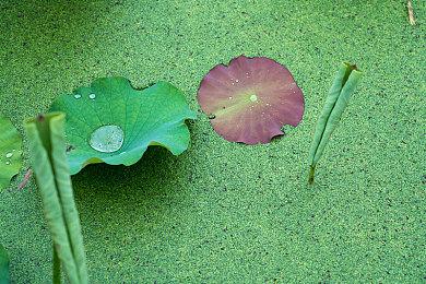 任天堂Switch 2主机现已在中国香港、美国、日本等地首发